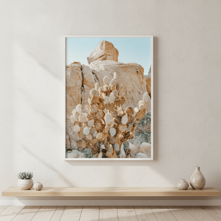 Summer Time Cactus Photograph wall-art-picture-poster