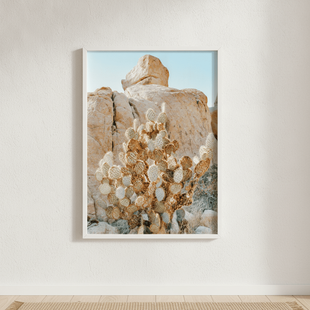 Summer Time Cactus Photograph wall-art-picture-poster