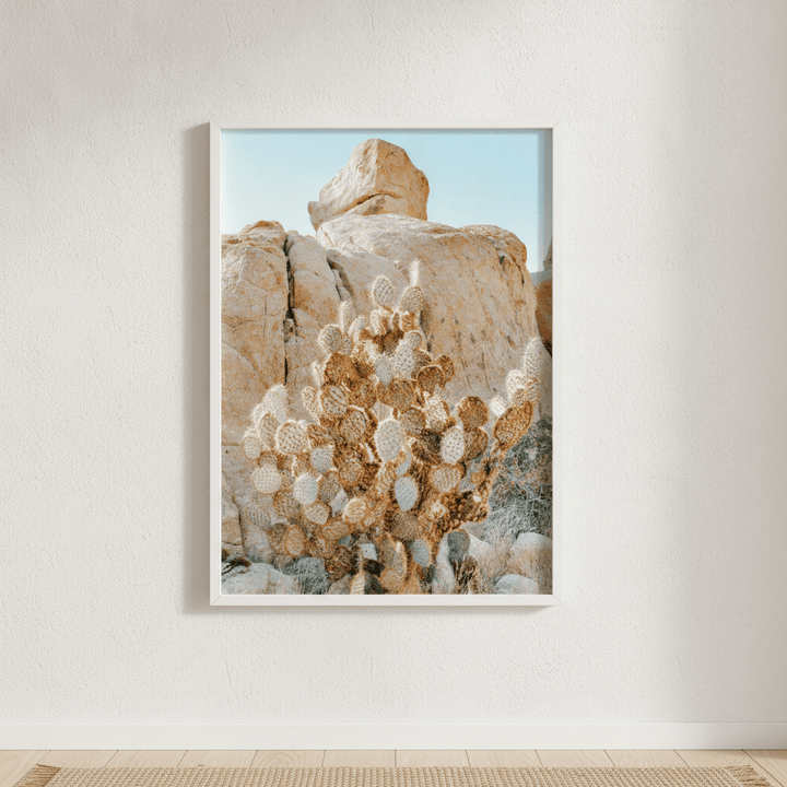 Summer Time Cactus Photograph wall-art-picture-poster