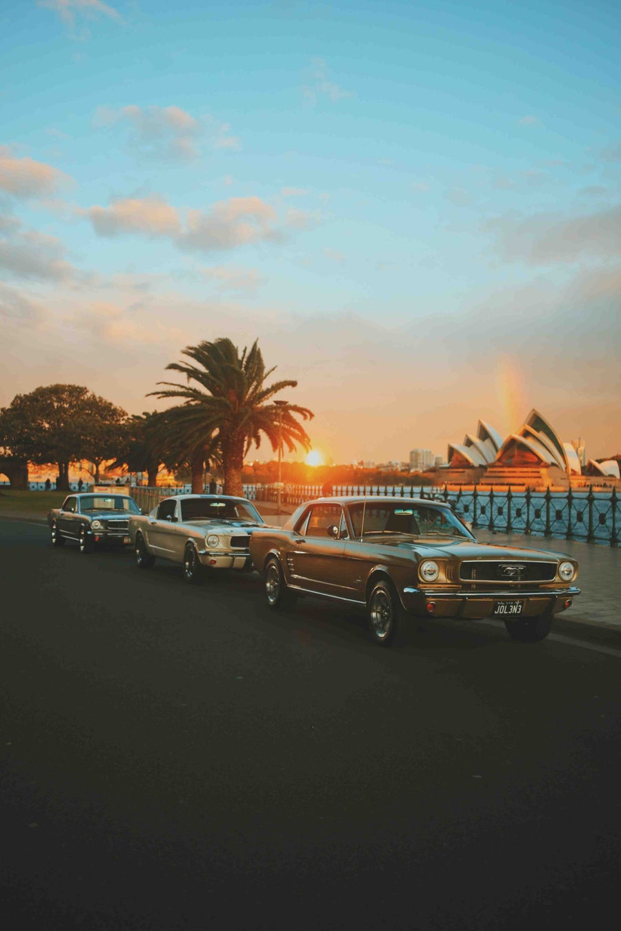 Sunset in Sydney by Gelica Peralta
