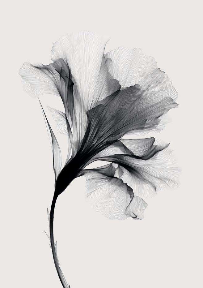 Swan Flower Abstract Painting Wall Art II frame