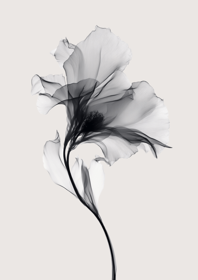 Swan Flower Abstract Painting Wall Art III frame