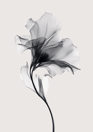 Swan Flower Abstract Painting Wall Art III frame