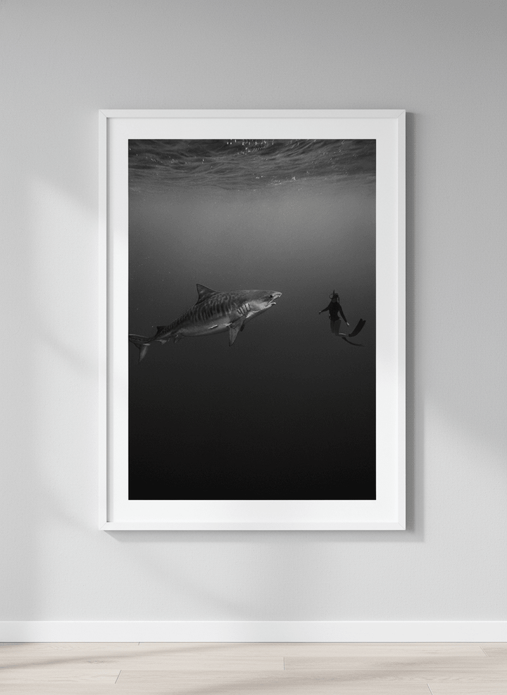 Contemporary wall art featured in a bright modern office workspace