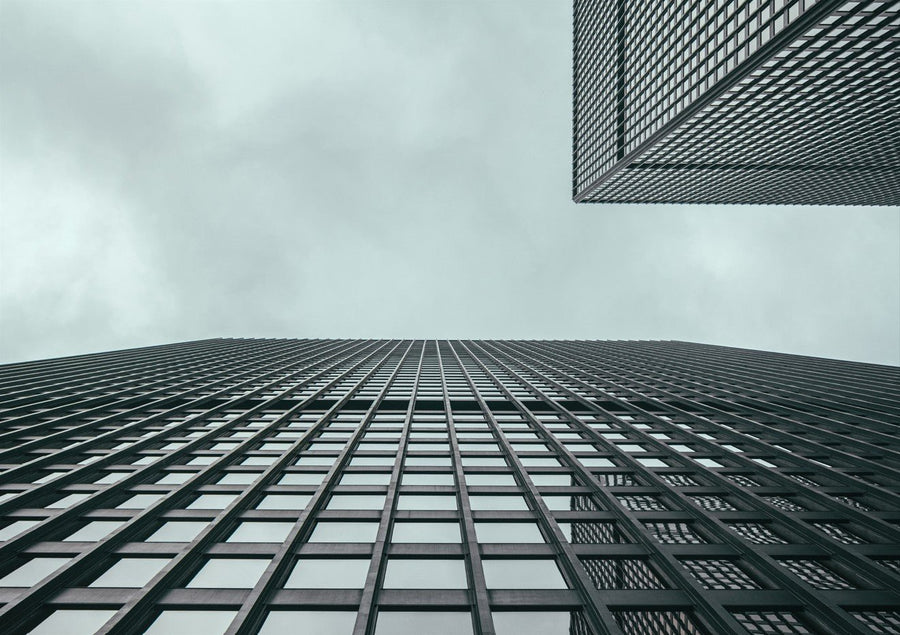 The Grid by Aaron Borchardt