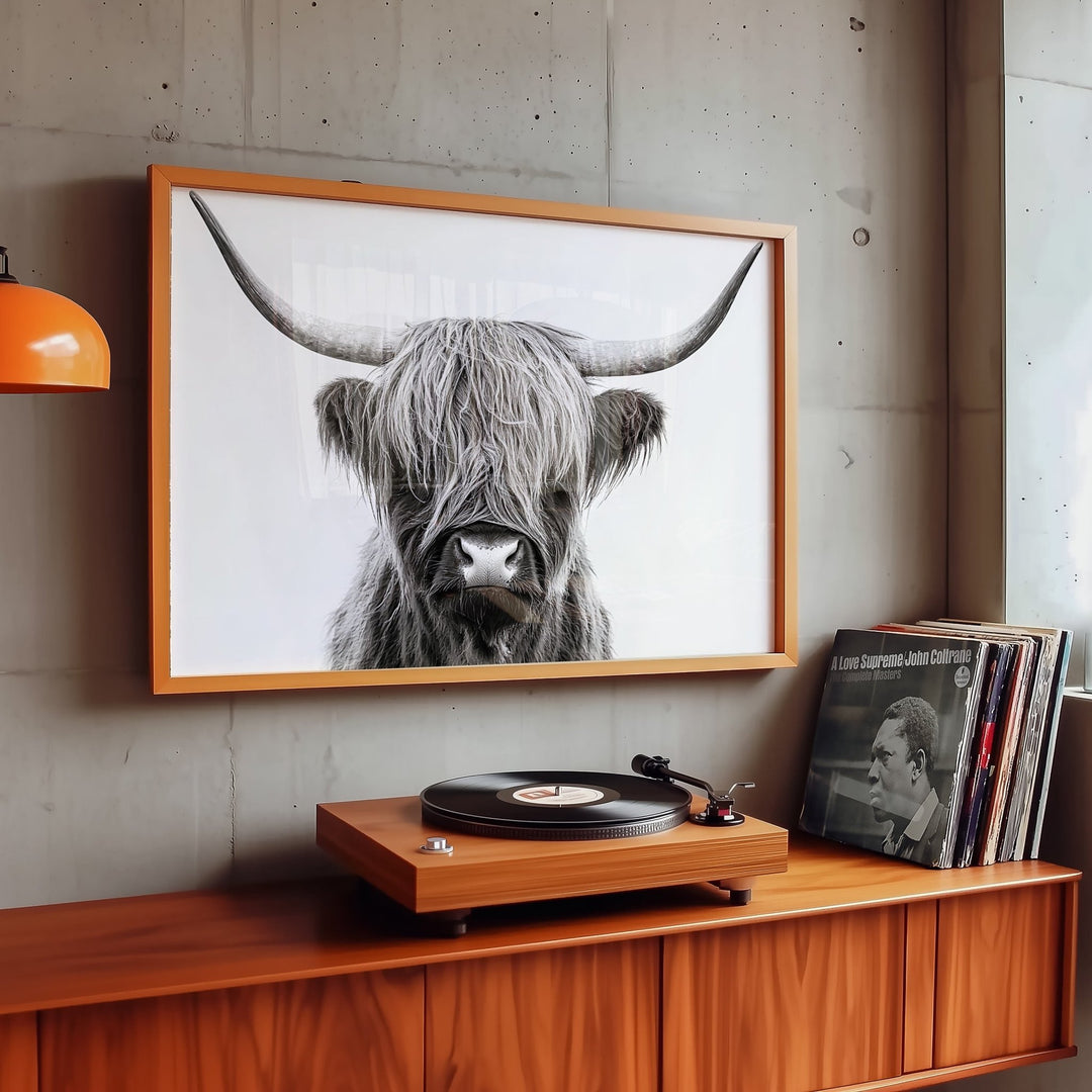 The Highland Cow King Photograph wall - art - picture - poster