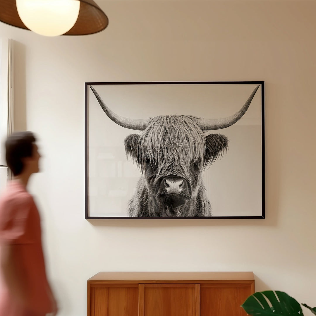 The Highland Cow King Photograph wall - art - picture - poster