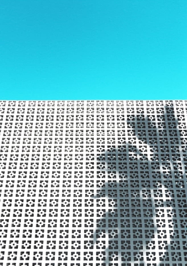 The Parker Breeze Block Wall With A Palm Tree Shadow By Tom Windeknecht