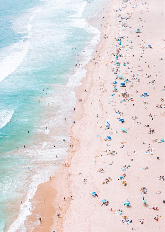 The Shoreline Social by Richard Podgurski