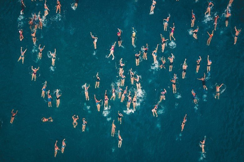 The Swimmers Wall Art