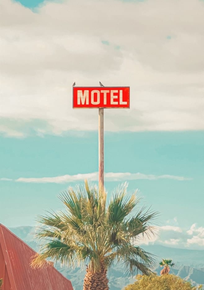 This Motel Is For The Birds By Tom Windeknecht
