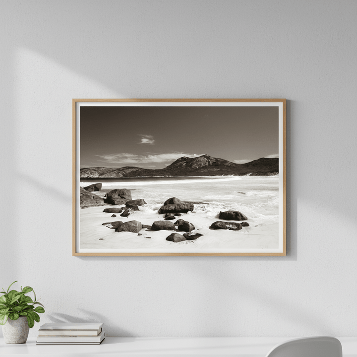 Thistle Cove by Steven Scott wall - art - picture - poster