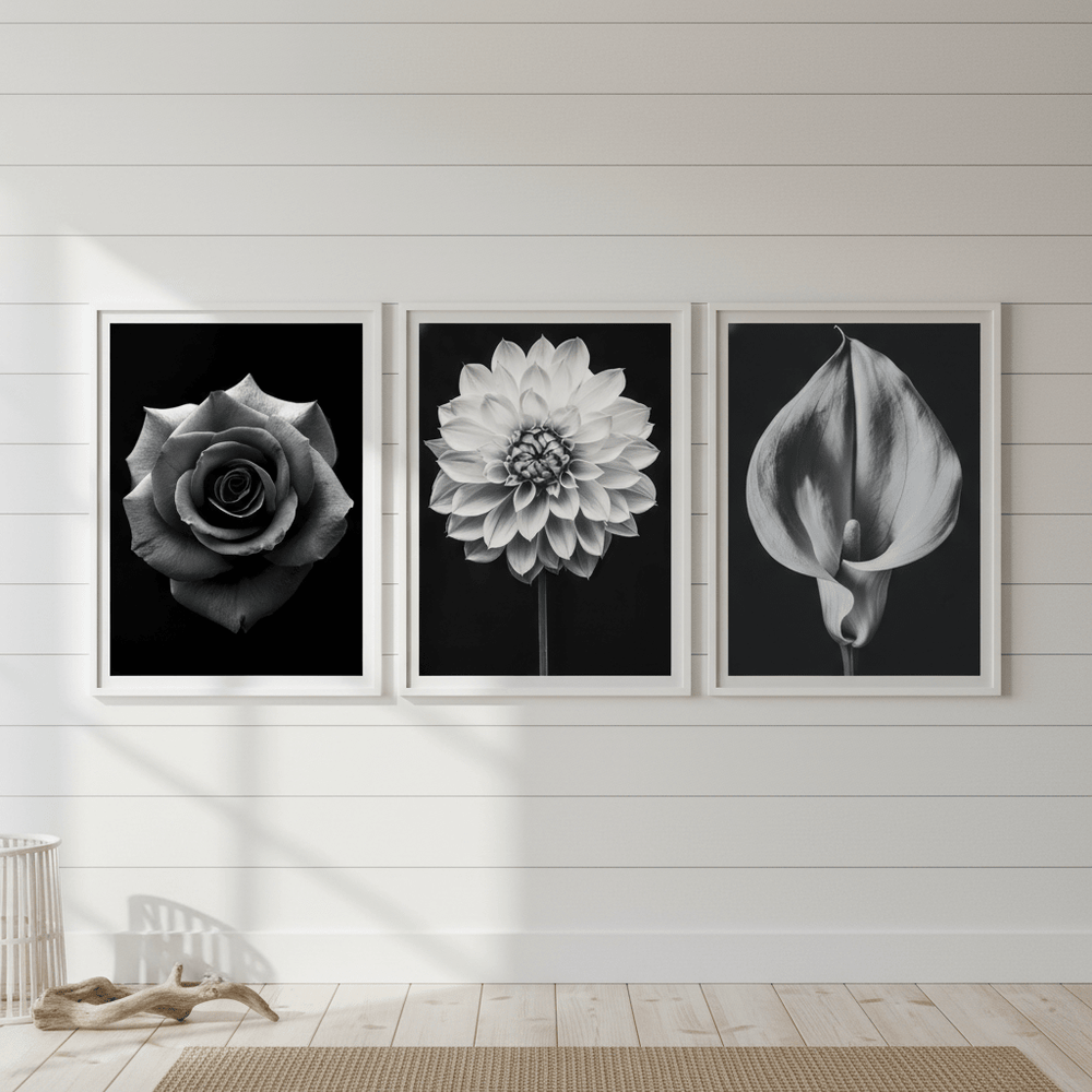 Three in Bloom Set of 3 by Peter Attard wall - art - picture - poster
