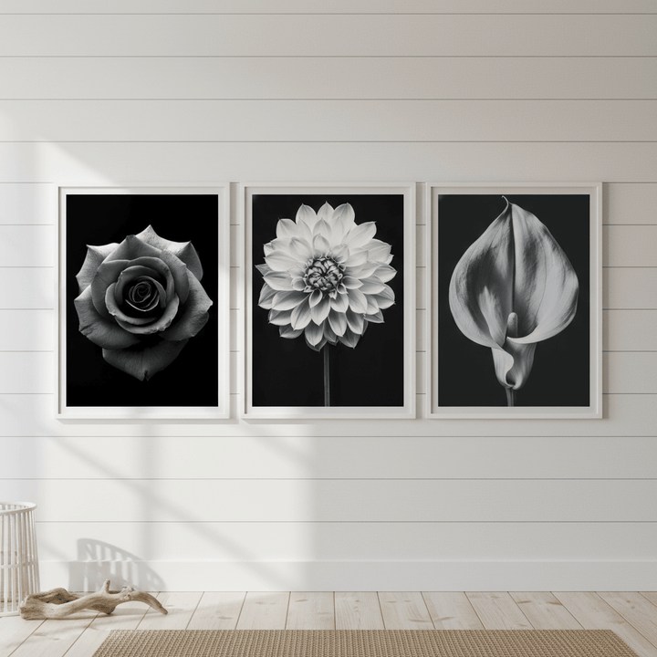 Three in Bloom Set of 3 by Peter Attard wall - art - picture - poster