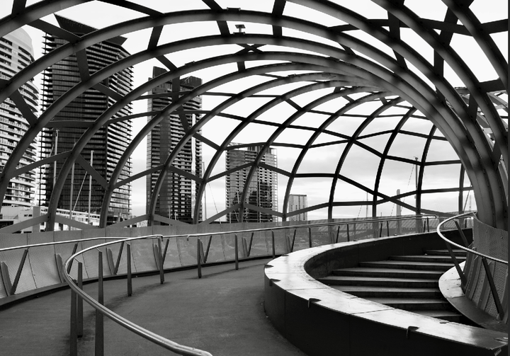 Through The Webb by Nicole Hunter black and white photograph frame