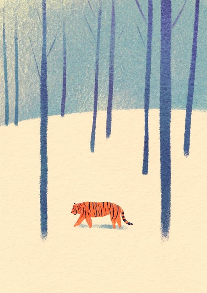 Tiger In The Snow By Henry Rivers