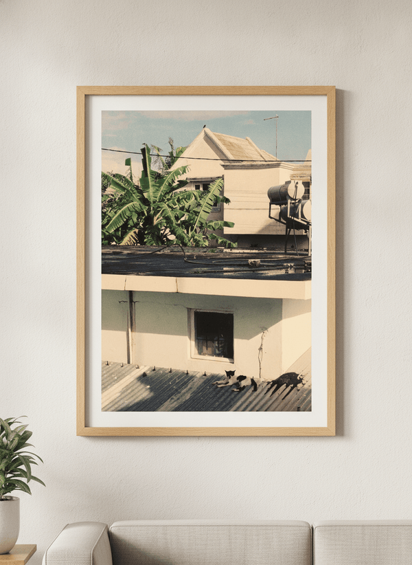 Tin Roof Cat By byDai