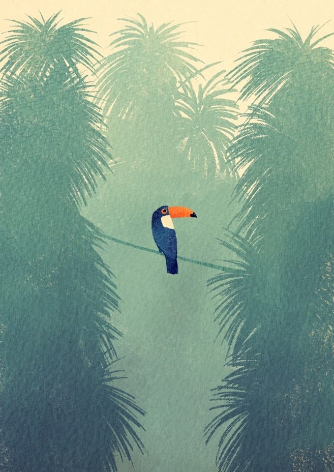 Toucan By Henry Rivers