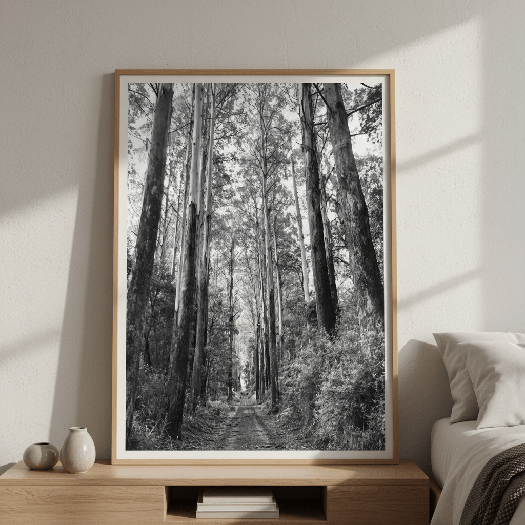 Tree Track Black and White by Nicole Hunter wall - art - picture - poster