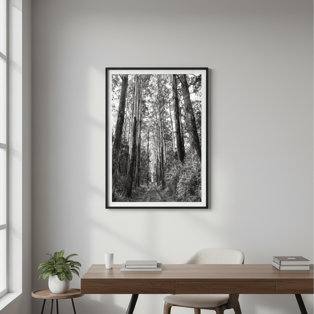 Tree Track Black and White by Nicole Hunter wall - art - picture - poster