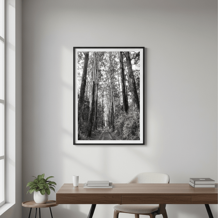 Tree Track Black and White by Nicole Hunter wall - art - picture - poster