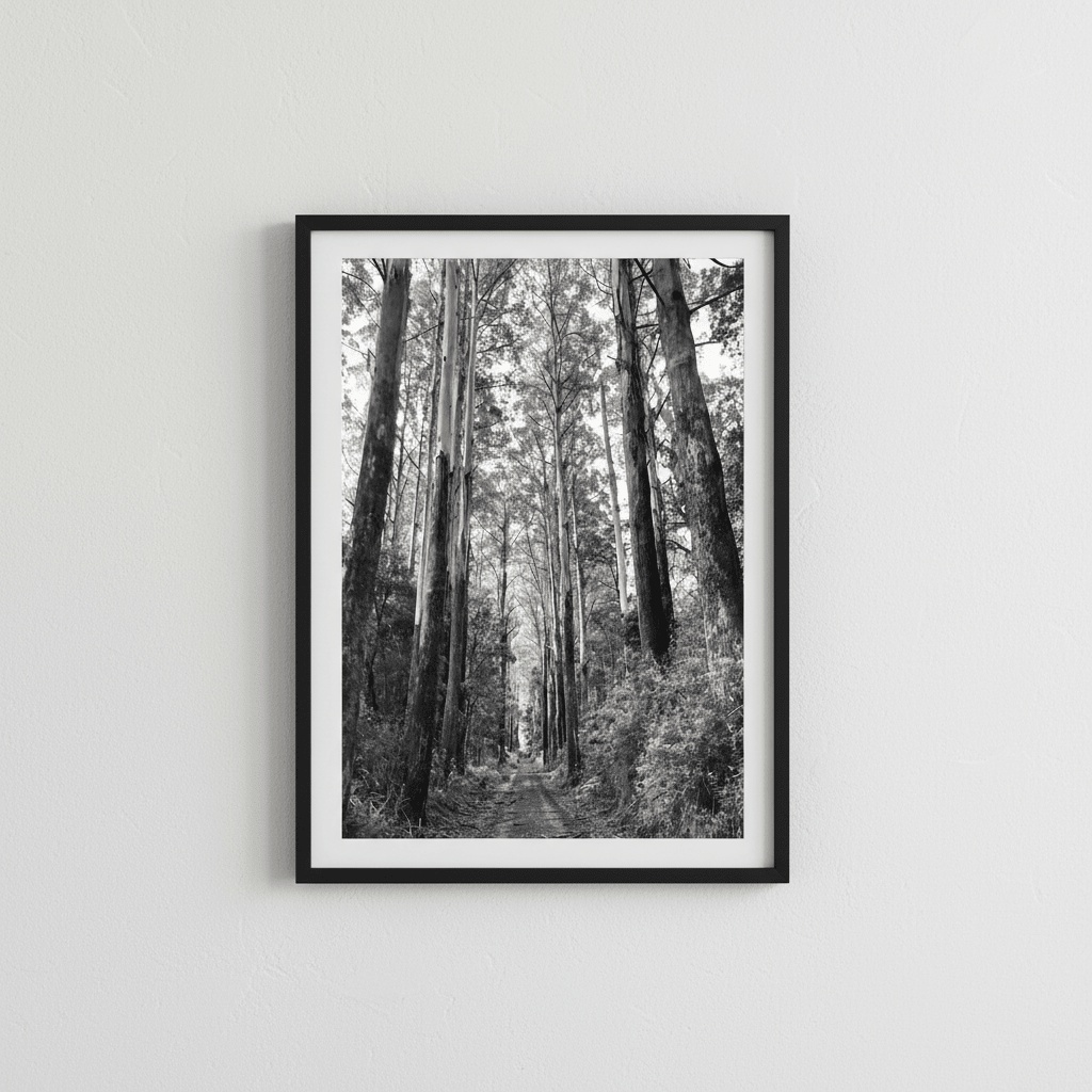 Tree Track Black and White by Nicole Hunter wall - art - picture - poster