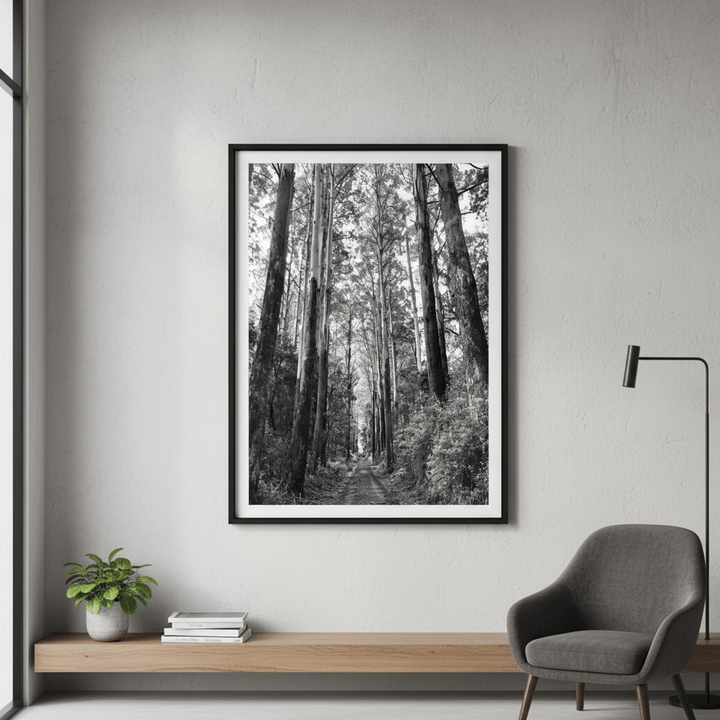 Tree Track Black and White by Nicole Hunter wall - art - picture - poster