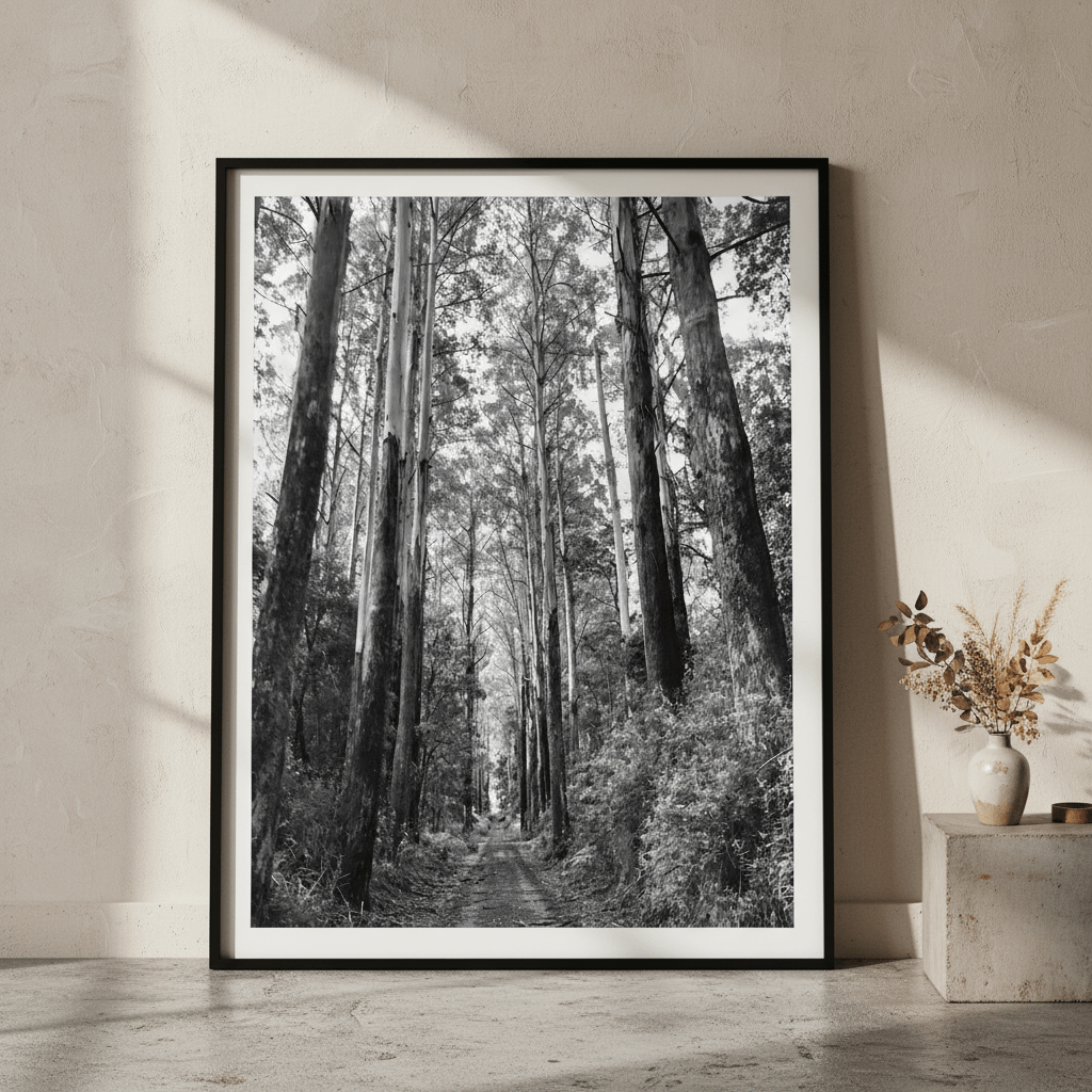 Tree Track Black and White by Nicole Hunter wall - art - picture - poster