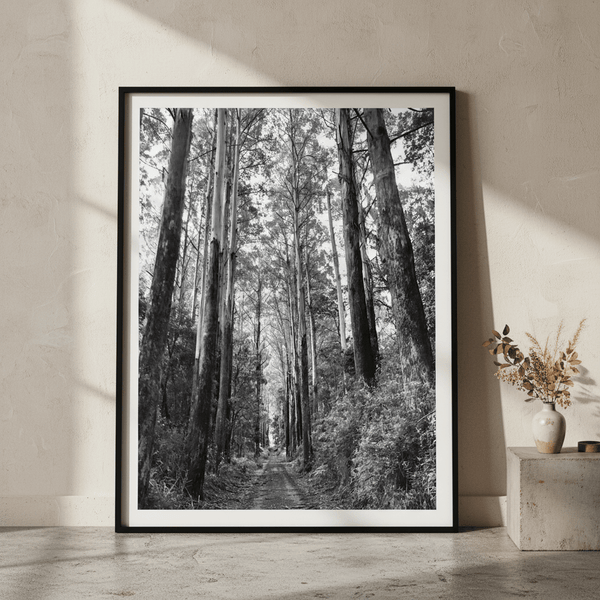 Tree Track Black and White by Nicole Hunter
