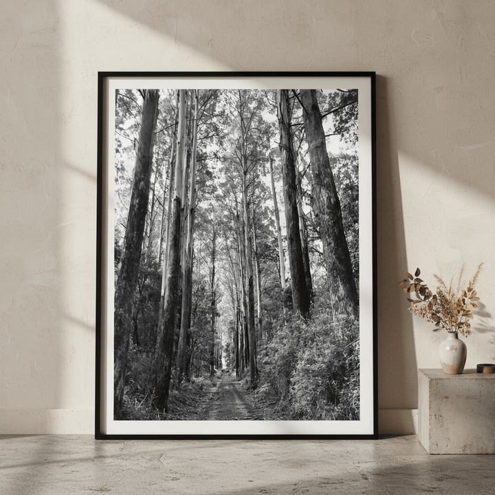 Tree Track Black and White by Nicole Hunter wall - art - picture - poster