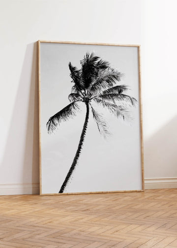 Tropic Noir wall - art - picture - poster
