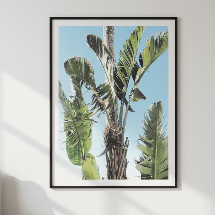 Tropical Large Greens by Hope Bainbridge wall - art - picture - poster