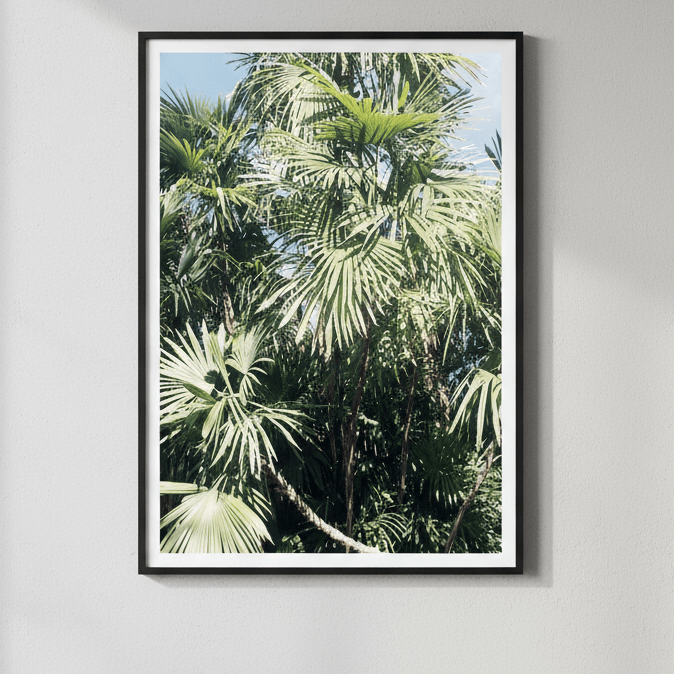 Tropical Palm Trees by Hope Bainbridge wall - art - picture - poster