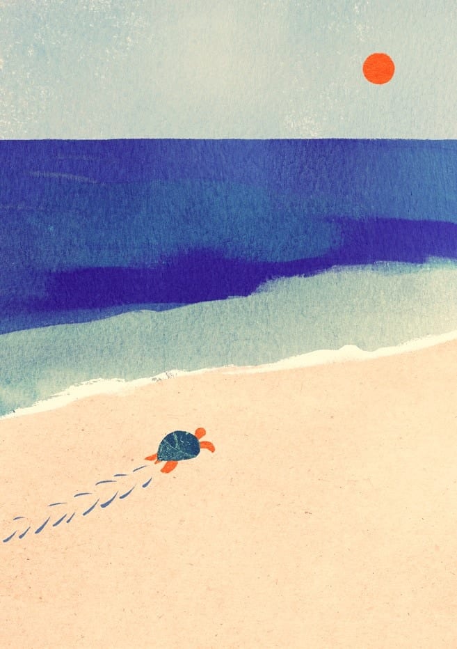 Turtle By Henry Rivers