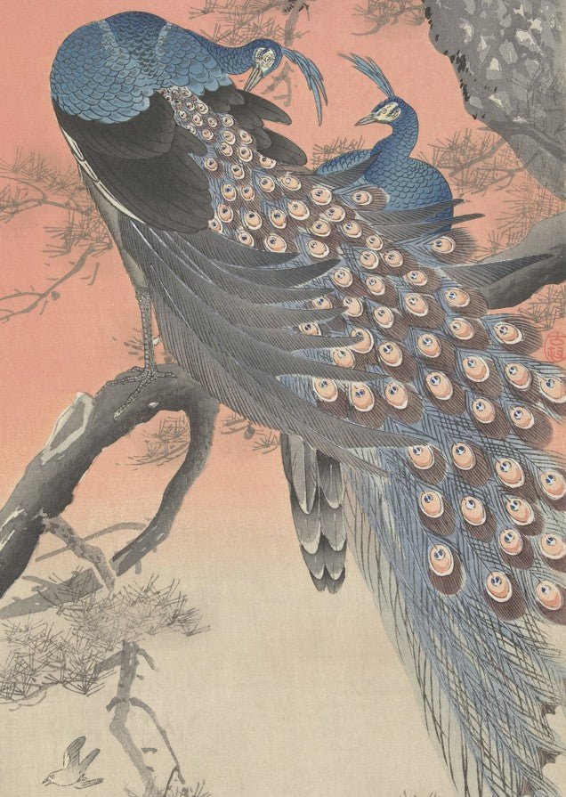 Two Peacocks on Tree Branch by Ohara Koson