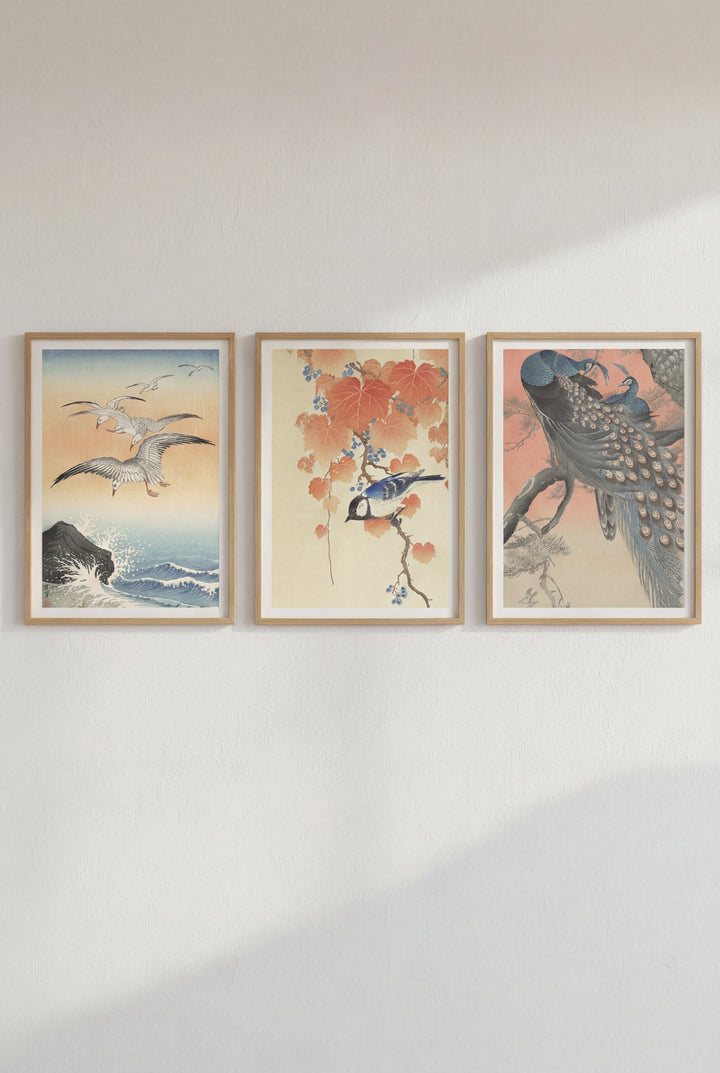 Trio of Japanese Orange Woodblock Bird Prints by Ohara Koson