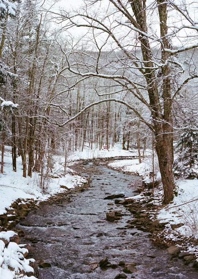 Upstate New York Snow  By Bethany Young