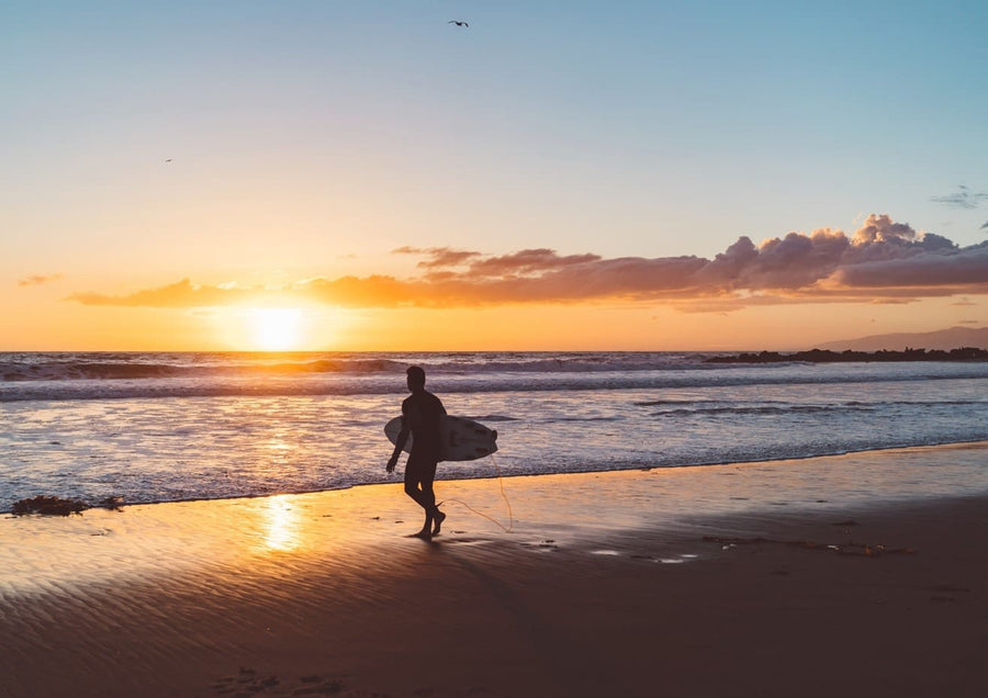 Venice Beach Surfer II  By Bethany Young
