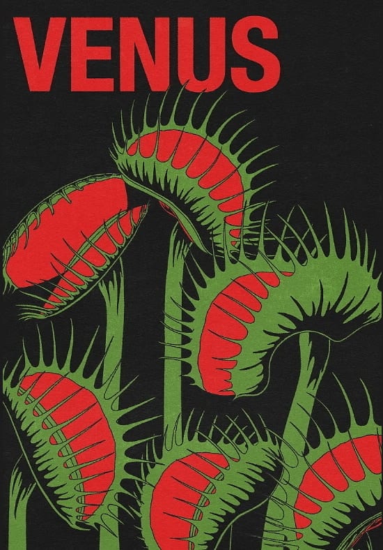 Venus by Lisa Goebel