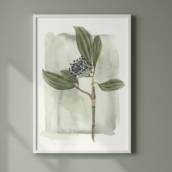Viburnum David II by Lucrecia Caporale | Art & Canvas Print