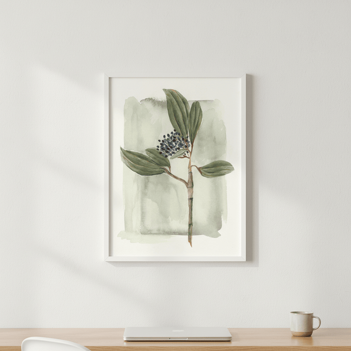 Viburnum David II by Lucrecia Caporale wall - art - picture - poster