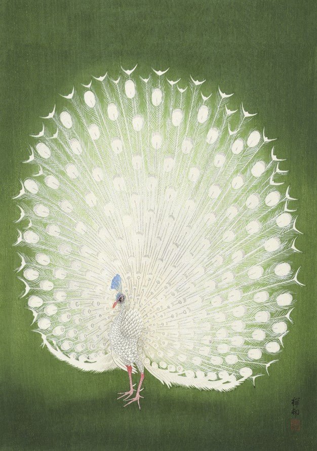 Vintage Japanese Green Peacock by Ohara Koson