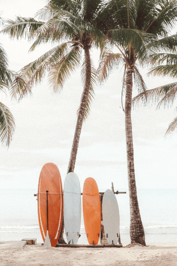Vintage Surfboard Coastal Photograph frame