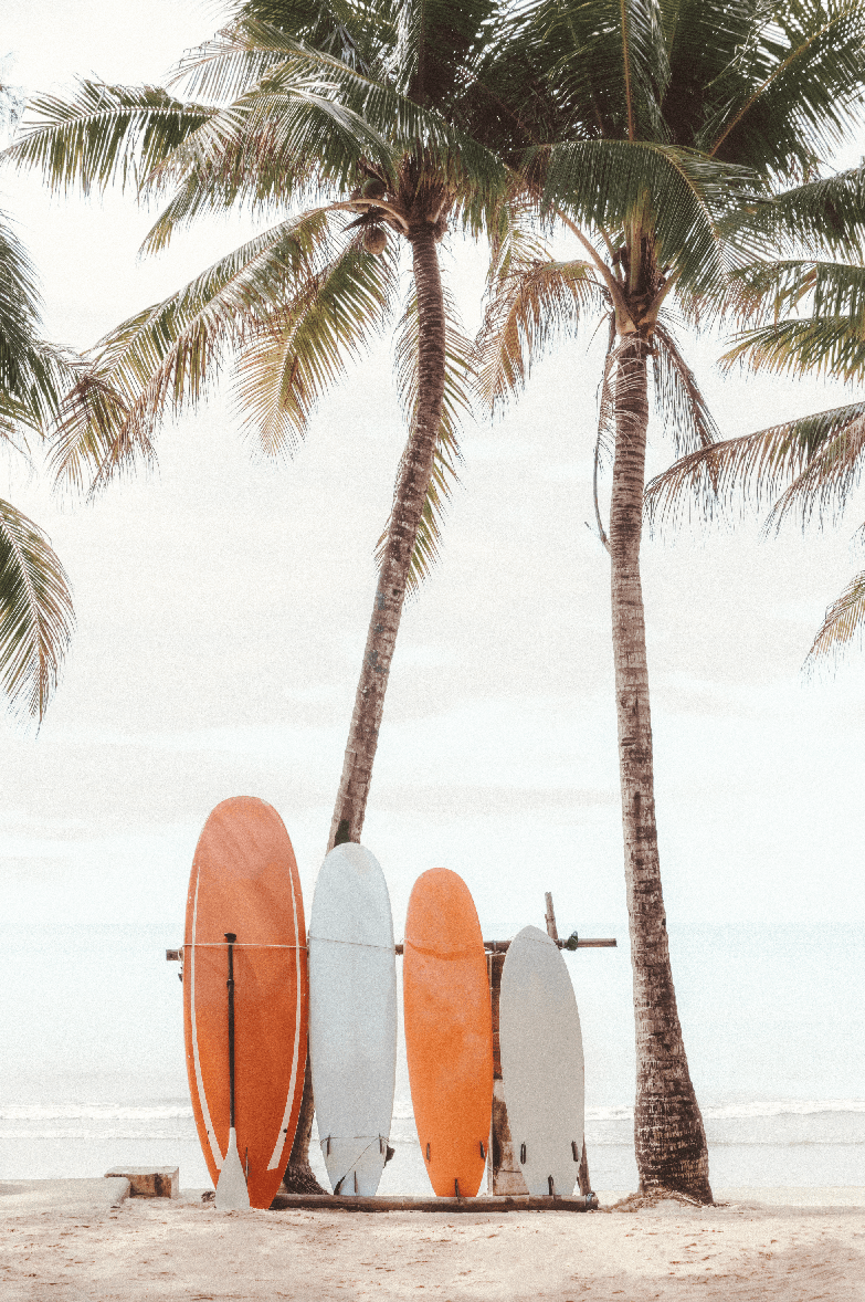 Vintage Surfboard Coastal Photograph