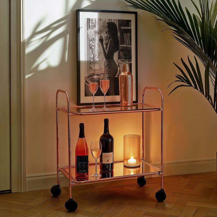 Vinyl & Vices Photography by Julian Van Bausch wall - art - picture - poster