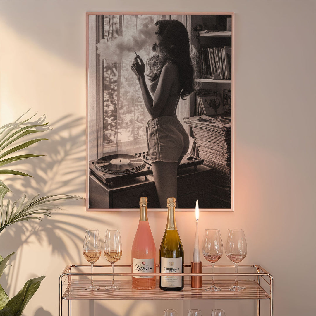 Vinyl & Vices Photography by Julian Van Bausch wall - art - picture - poster
