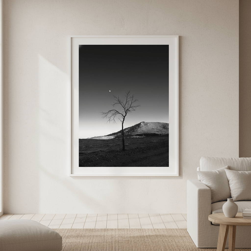 Warraweena - Moon Tree by Steven Scott wall - art - picture - poster