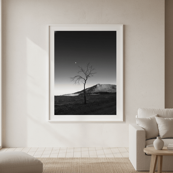 Warraweena - Moon Tree by Steven Scott wall - art - picture - poster