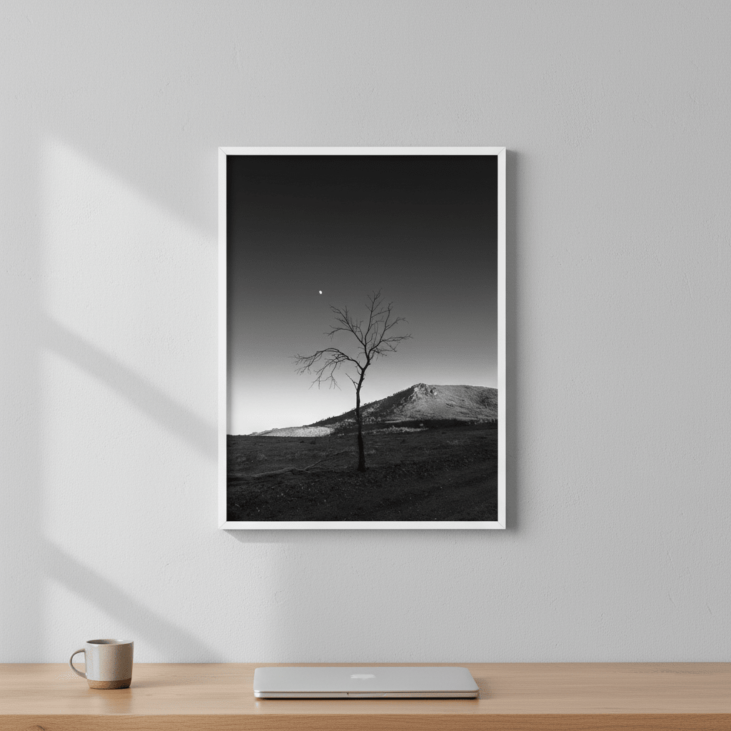 Warraweena - Moon Tree by Steven Scott wall - art - picture - poster