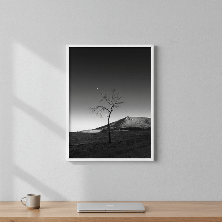 Warraweena - Moon Tree by Steven Scott wall - art - picture - poster